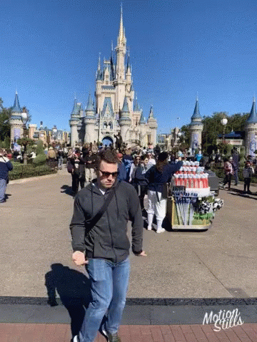 Disneyland 360 X 480 Gif GIF