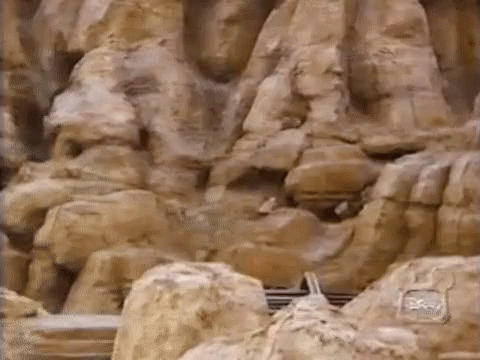 Disneyland 480 X 360 Gif GIF