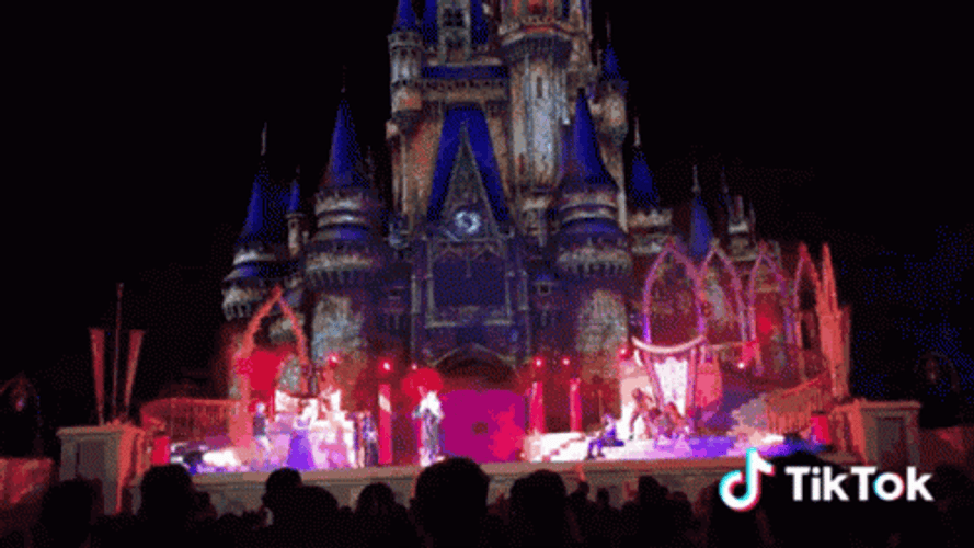Disneyland GIF
