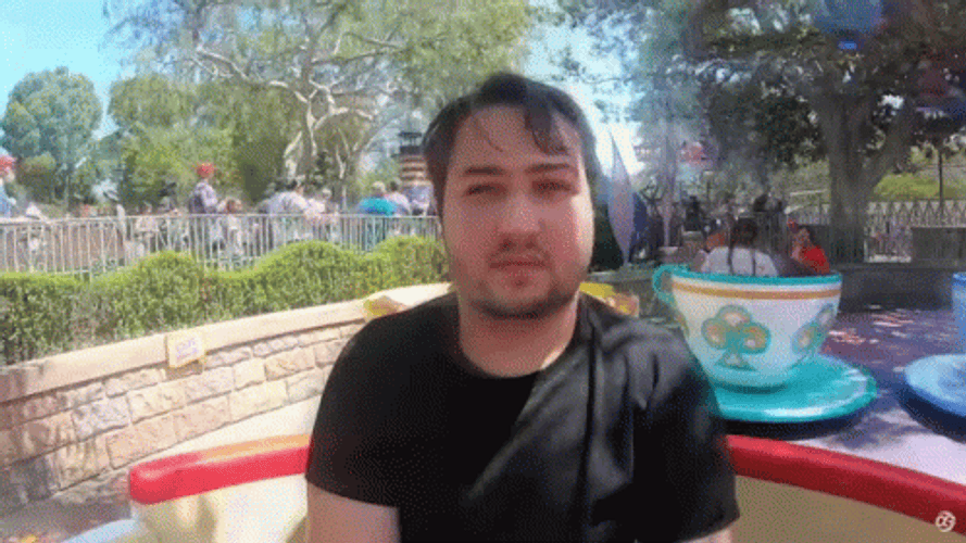 Disneyland GIF