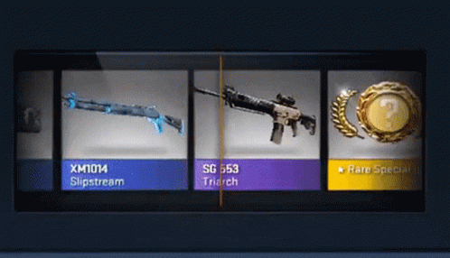 Display of Weapons and Rare Special Badge