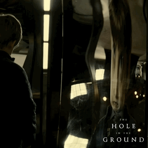 Dissorted Mirror Holes Movie GIF