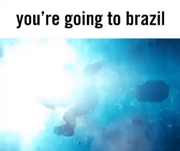 Diver Going To Brazil Meme GIF