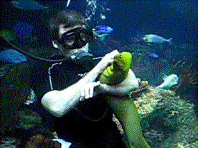Diver Hugging Giant Eel GIF
