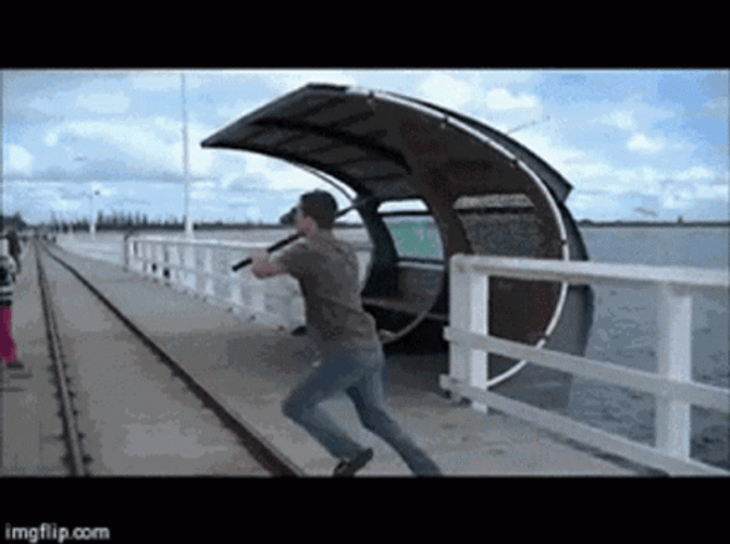 Diving Funny Fishing GIF
