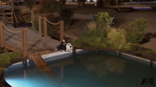 Diving On A Moving Water GIF