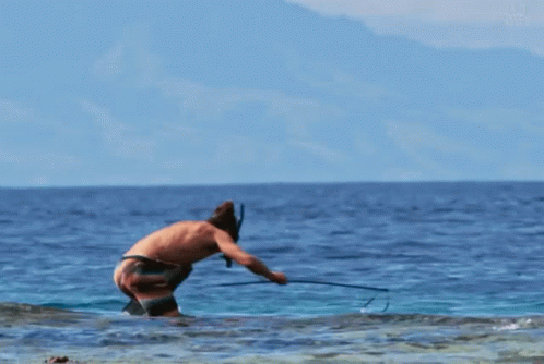 Diving Spear Fishing GIF