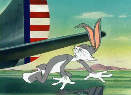 Dizzy Bugs Bunny Florida GIF