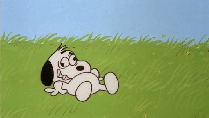 Dizzy Dog Got Knocked Out GIF