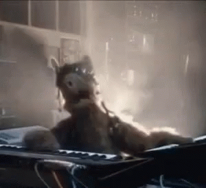 Dj Alf Playing Piano GIF