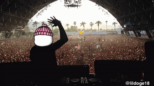 DJ At Music Festival With LilDoge18 GIF