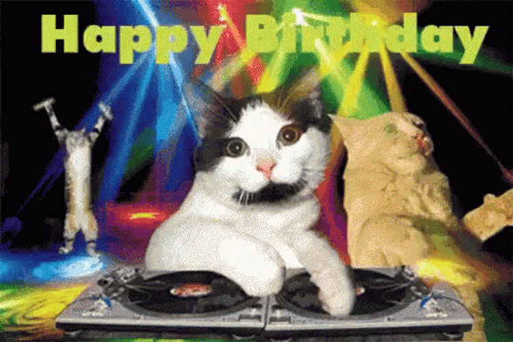 DJ Cat Playing Birthday Songs GIF