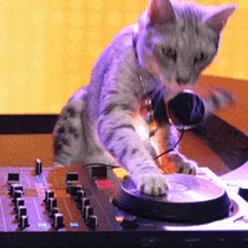 Dj Cat Scratching The Turntable GIF