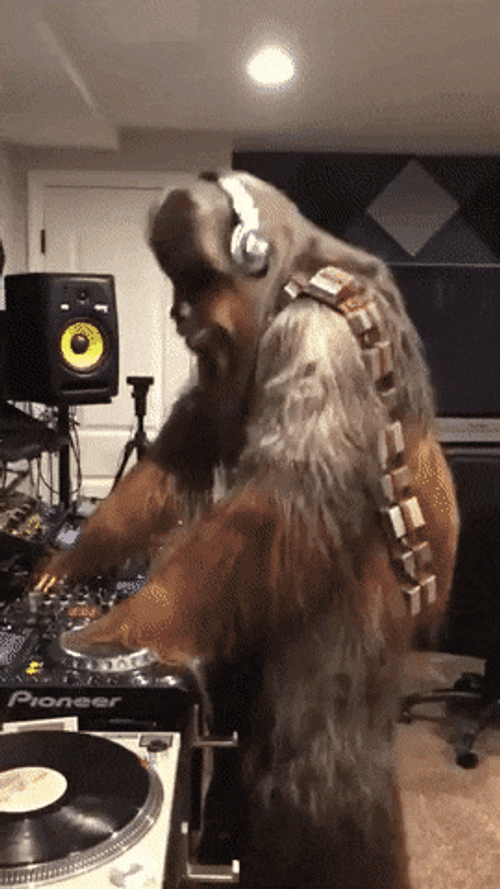 Dj Chewbacca Pumping To The Music GIF