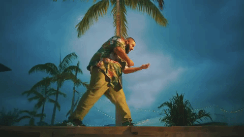 Dj Khaled Summer Sunset Dancing GIF