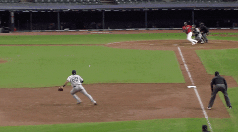 Dj Lemahieu Catching GIF