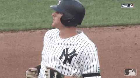 Dj Lemahieu Clapping GIF