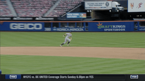 Dj Lemahieu Infielding GIF