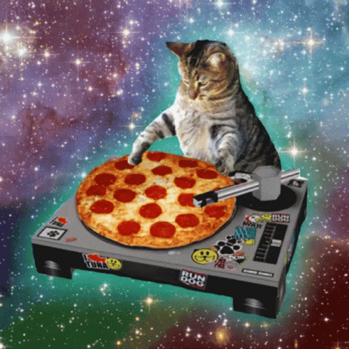 DJ Space Cat Pizza Colorful Galaxy GIF
