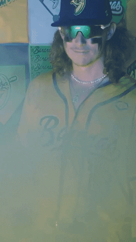 Dj The Invader Savannah Bananas GIF