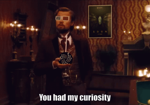 Django Leonardo Dicaprio You Had My Curiosity GIF