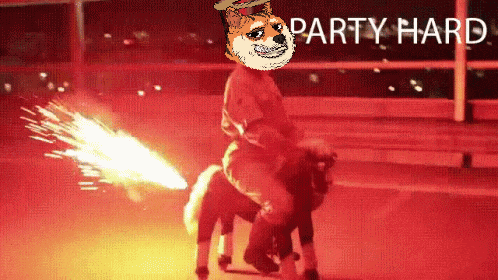 Djtigerpaws Dj Tiger Paws Gif GIF