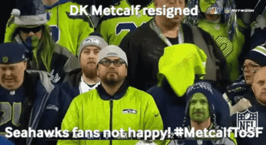 Dk Metcalf Fans Reaction GIF