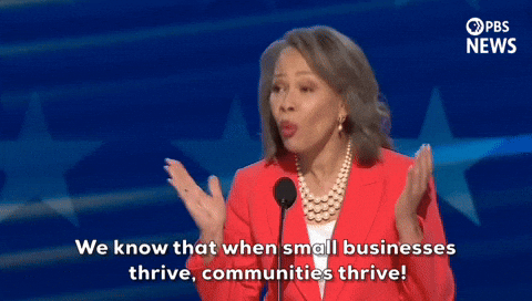 Dnc Lisa Blunt Rochester GIF