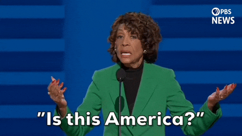 Dnc Representative Maxine Waters Is This America GIF
