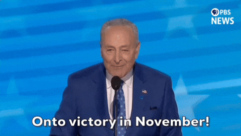 Dnc Senator Chuck Schumer GIF