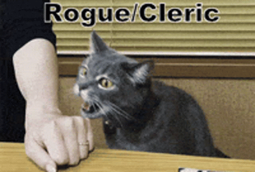 Dnd Rogue Cleric Cat Meme GIF