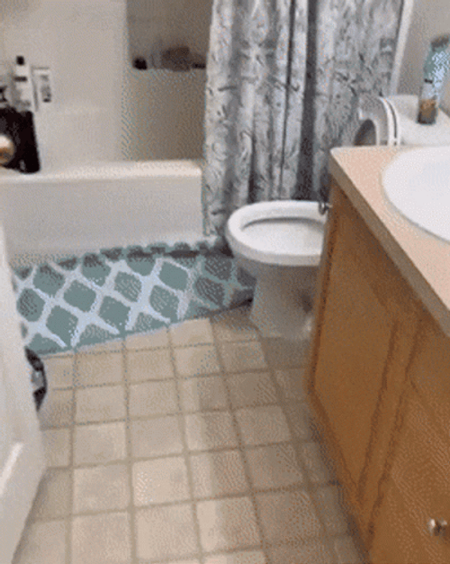 DND Rolling In Bathroom GIF