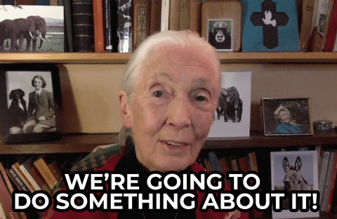 Do Something About It Now GIF