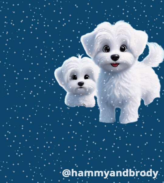 Do You Want To Build A Snowman Fluffy Puppy GIF
