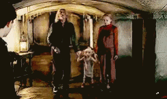 Dobby The House Elf Disappearing GIF