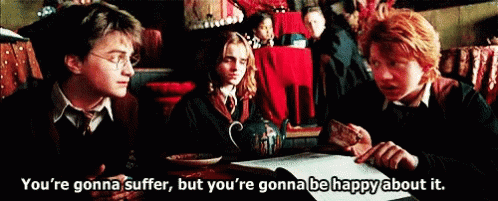 Dobby Harry Potter Hermione Granger GIF