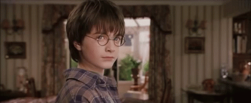 Dobby Master Harry Potter Intense Look GIF