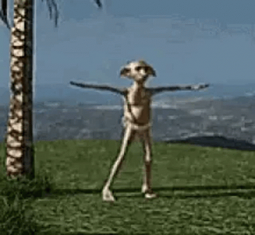 Dobby Is Free And Dancing GIF