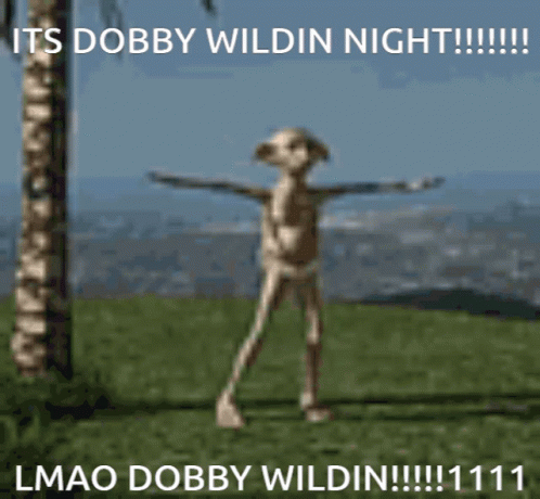 Dobby Is Free And Wilding Tonight GIF