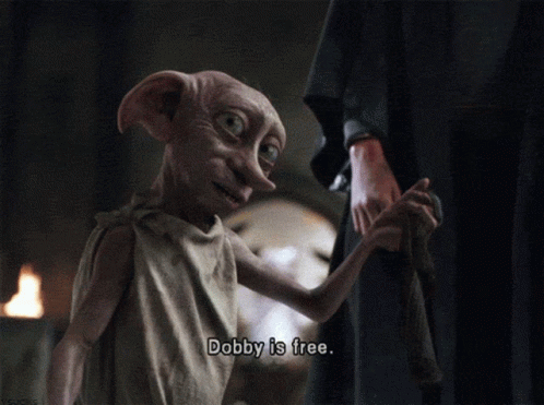 Dobby Is Free At Last GIF