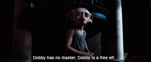 Dobby Is Free Elf GIF