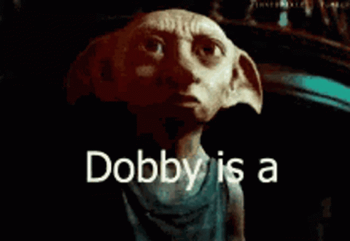 Dobby Is Free From Girls GIF