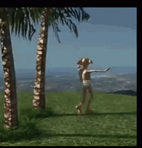 Dobby Is Free From Stress GIF