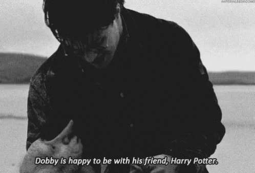 Dobby Is Free To His Friend Harry Potter GIF