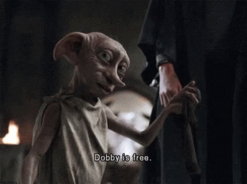 Dobby Is Free Tomorrow GIF