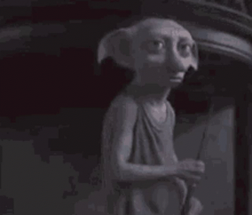 Dobby Yes Master GIF
