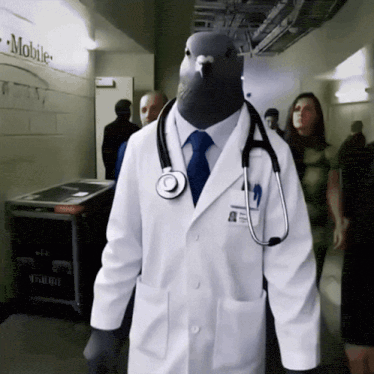 Doctor With Pigeon Head And Stethoscope GIF