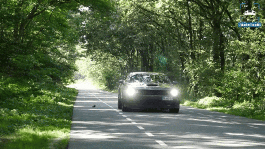 Dodge Challenger Start Smoke GIF