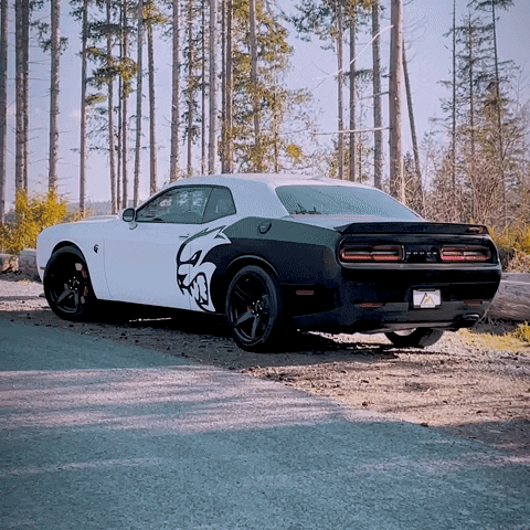 Dodge Challenger White Custom Decal GIF