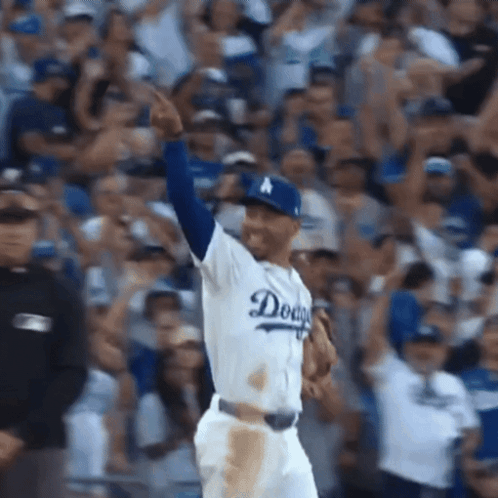 Dodgers Baseball Player in Crowd